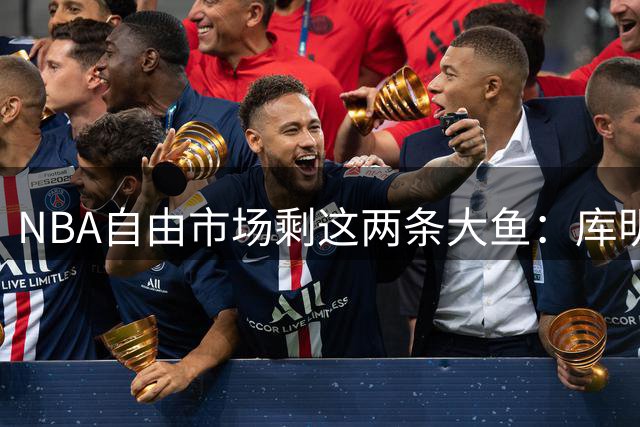 NBA自由市场剩这两条大鱼：库明加或底薪投湖人，掘金锋线被骑士盯上